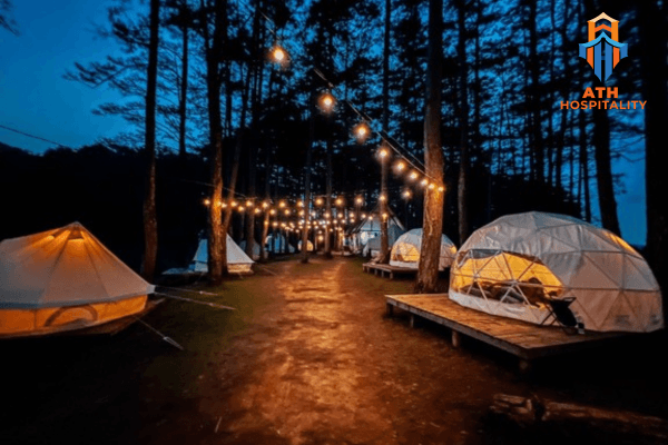 Review glamping Đà Lạt view rừng thông cho cặp đôi 2 campart-by-mo-jen
