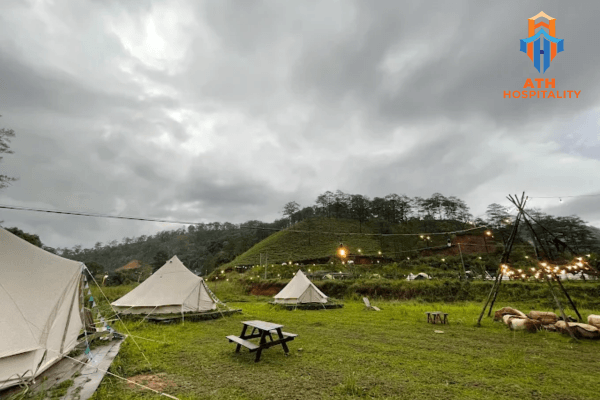 Review glamping Đà Lạt view rừng thông cho cặp đôi 3 dalat-camp
