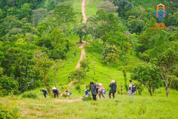 Kinh nghiệm du lịch trekking Tà Năng Phan Dũng mùa cỏ xanh 2 mua-co-xanh-ta-nang-phan-dung