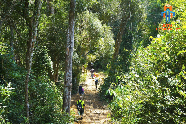 Kinh nghiệm du lịch trekking Tà Năng Phan Dũng mùa cỏ xanh 4 rung-khop-phan-dung