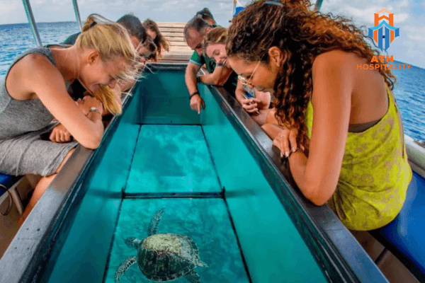 Review chi tiết lịch trình du lịch Vịnh Vĩnh Hy 3N2D tự túc 2026 3 tau-day-kinh