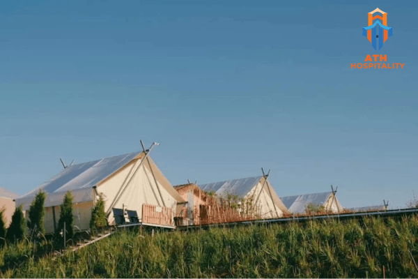 Review glamping Đà Lạt view rừng thông cho cặp đôi 5 the-camp-ville-dalat