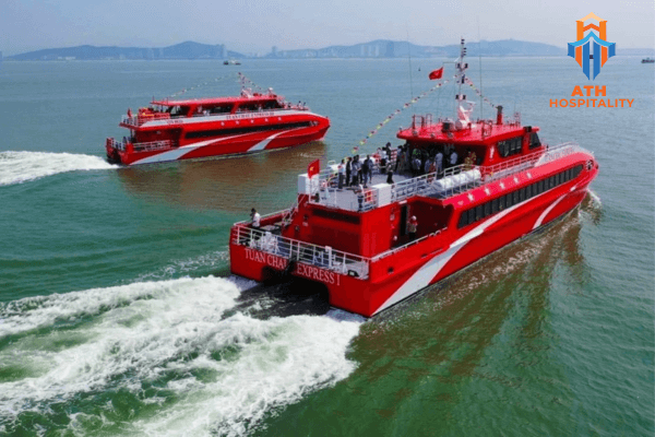 Chi phí đi tàu ra đảo Phú Quý mới nhất 2026: Bảng giá & Kinh nghiệm tránh say sóng 3 tuan-chau-express