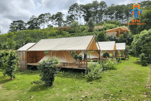 Review glamping Đà Lạt view rừng thông cho cặp đôi 4 twin-beans-farm-glamping