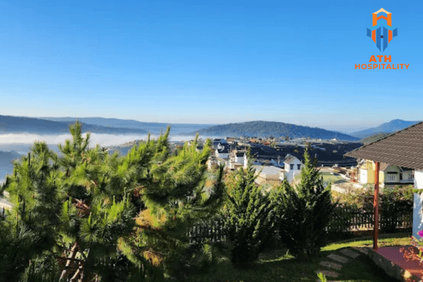 Top 12 Homestay Săn Mây Đà Lạt Đẹp Nhất 2026 – Nằm Trong Phòng Cũng Thấy Biển Mây 13 canh-dong-may
