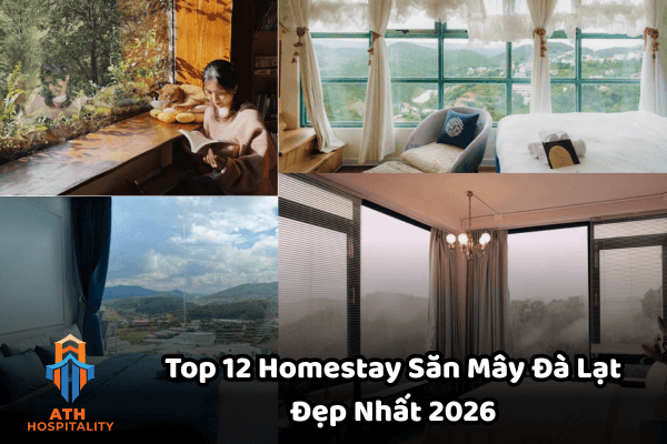 Top 12 Homestay Săn Mây Đà Lạt Đẹp Nhất 2026 – Nằm Trong Phòng Cũng Thấy Biển Mây 1 top-12-homestay-san-may-da-lat